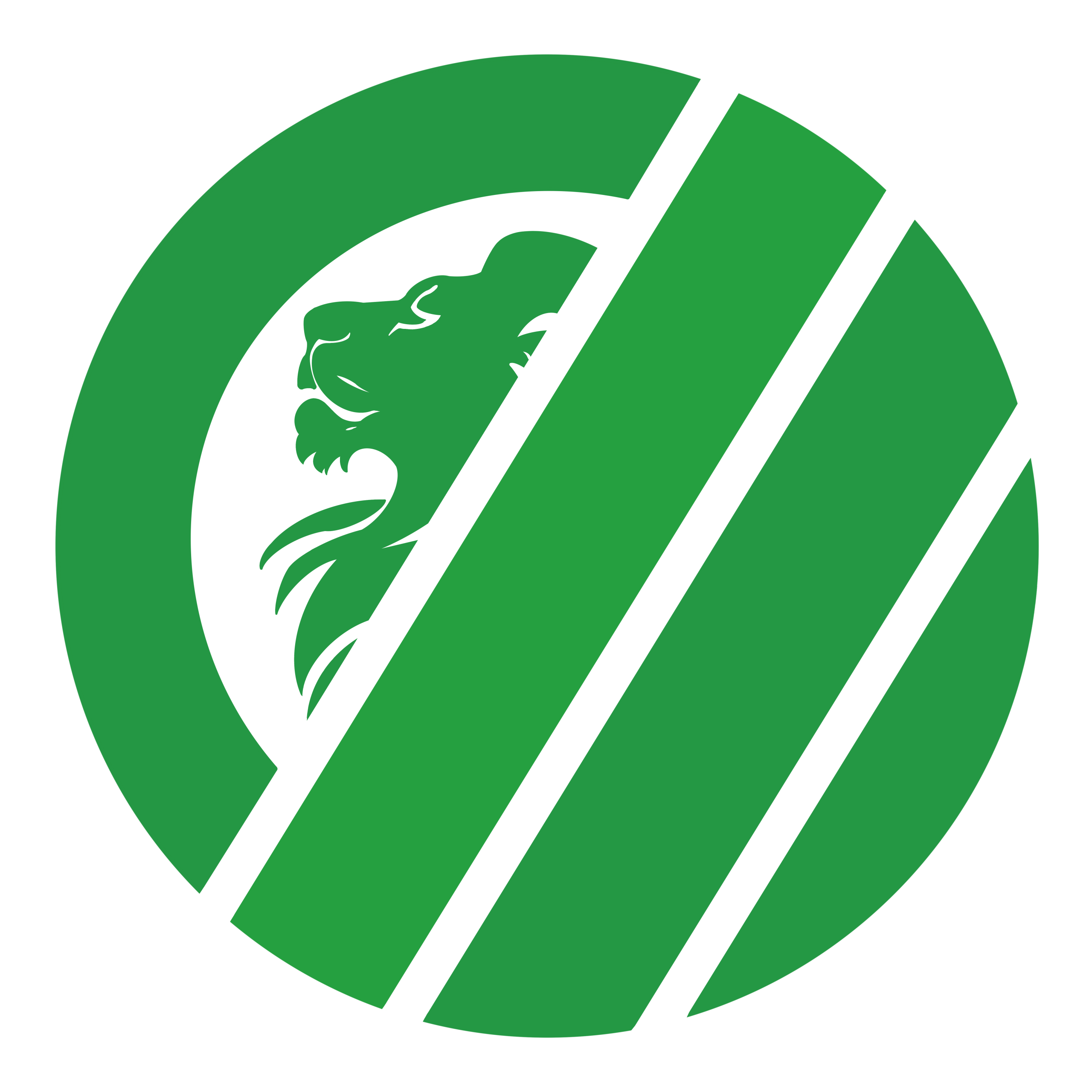 OZP Logo